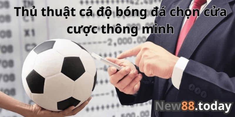 Thủ thuật cá độ bóng đá chọn cửa cược thông minh Thủ thuật cá độ bóng đá chọn cửa cược thông minh